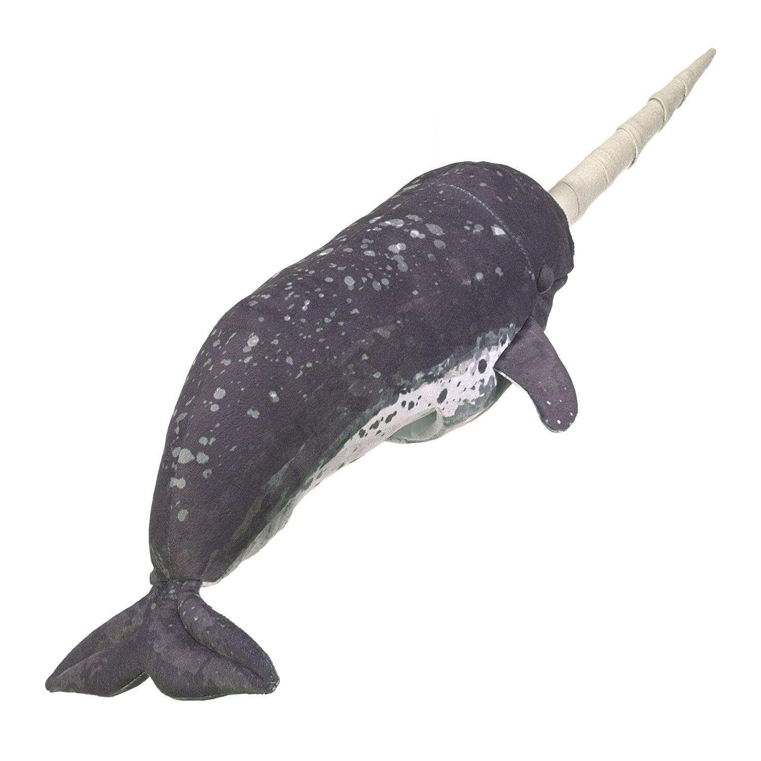 Narwhal