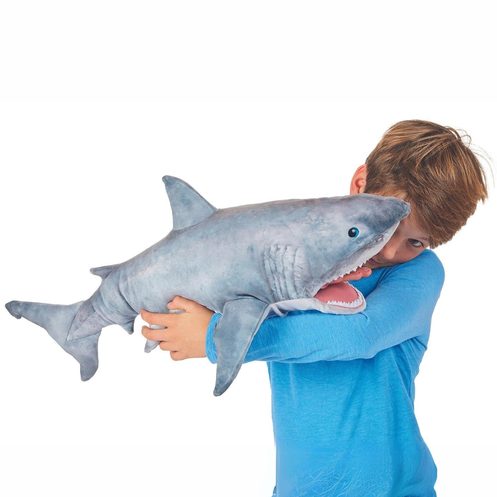 Great white shark