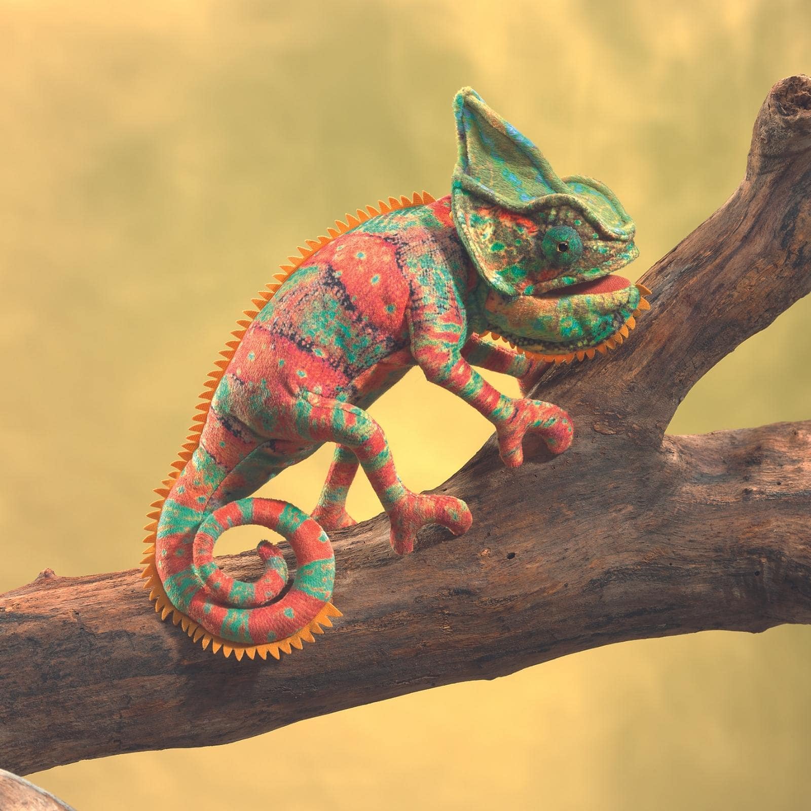 Small Chameleon