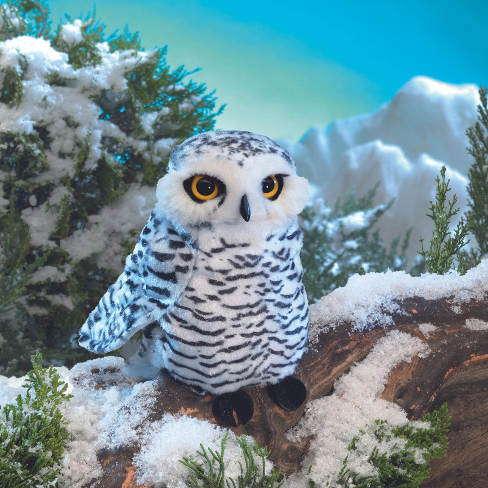 Small Snowy Owl