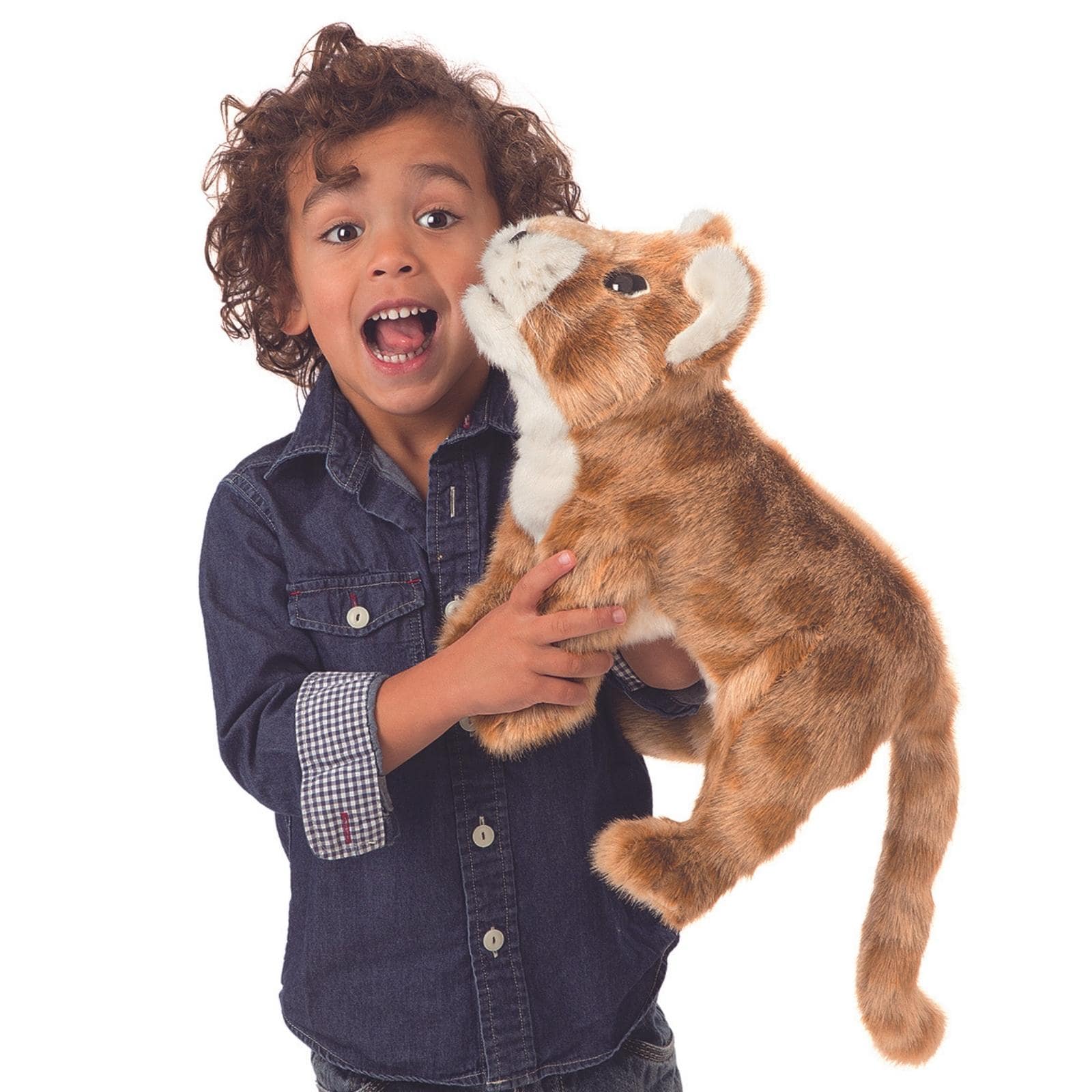 African Lion Cub