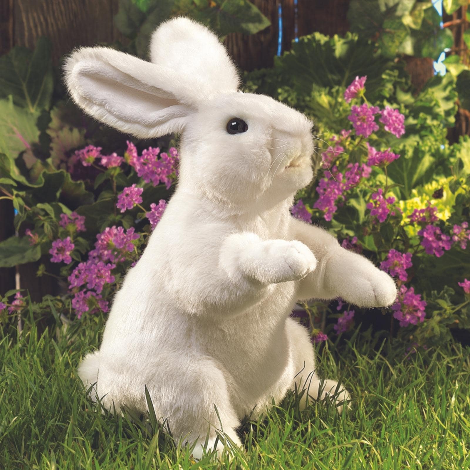 Standing White Rabbit