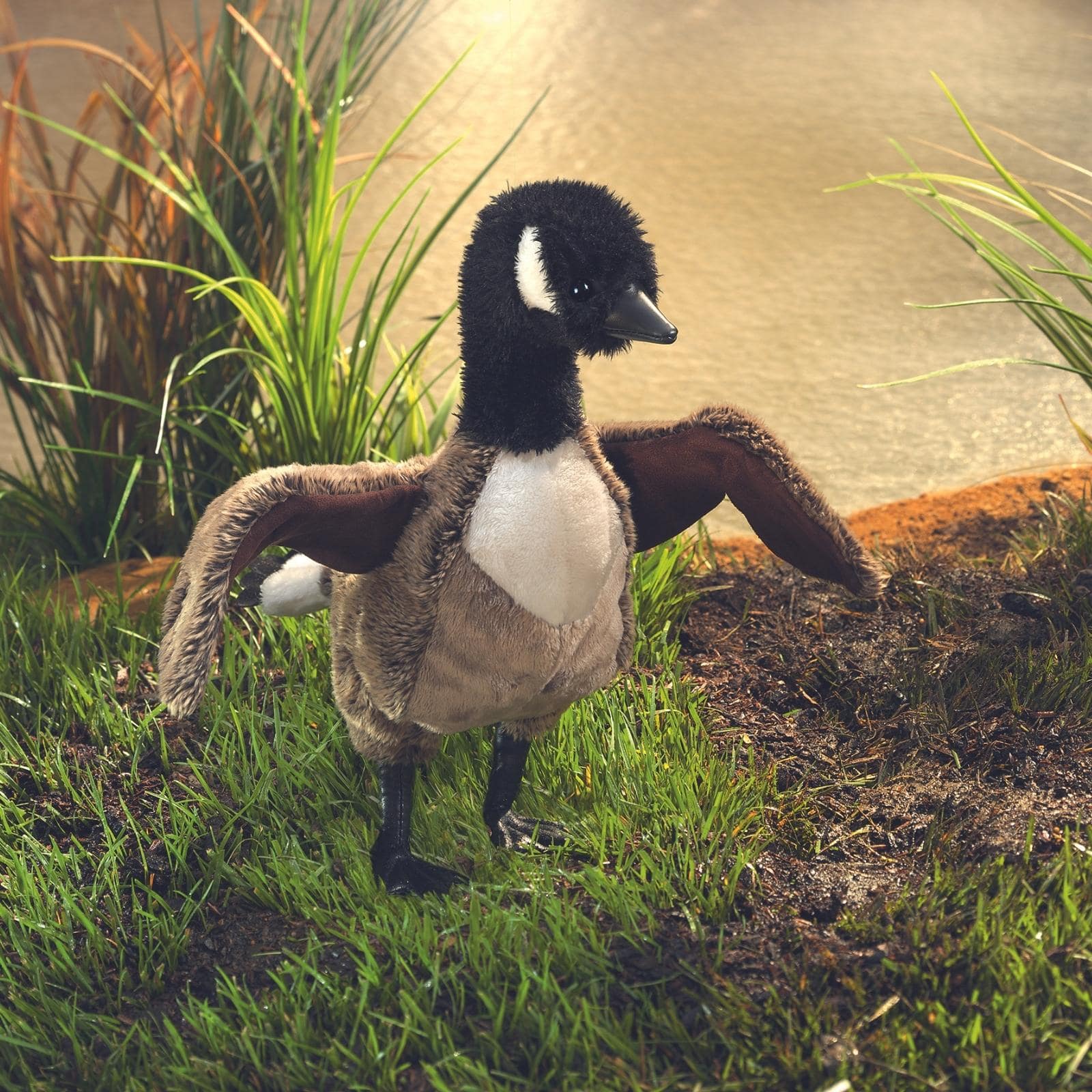 Canada Goose