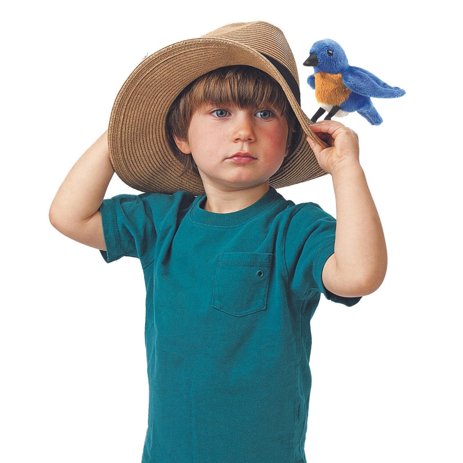 Mini Bluebird