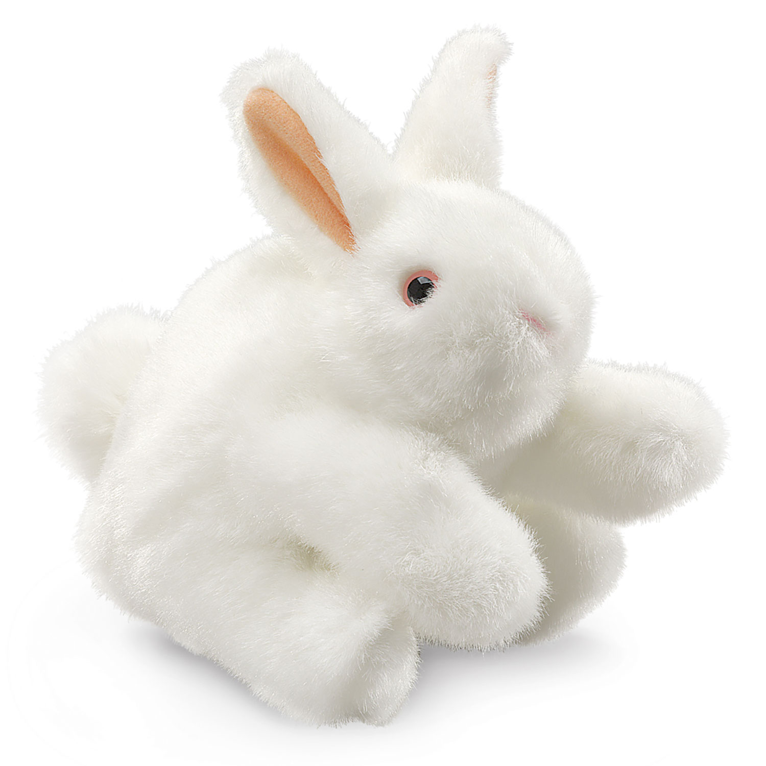 White Bunny Rabbit