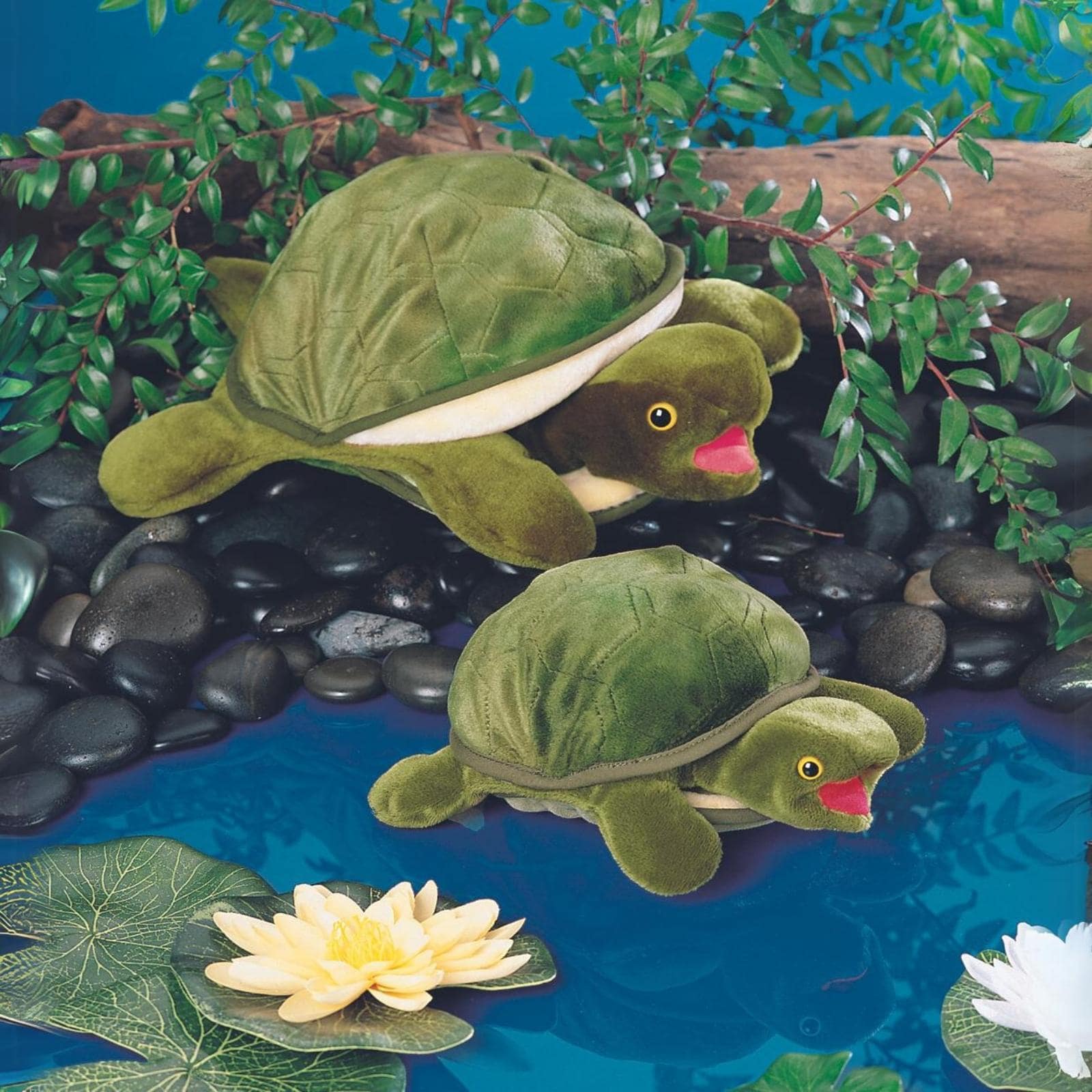Turtle