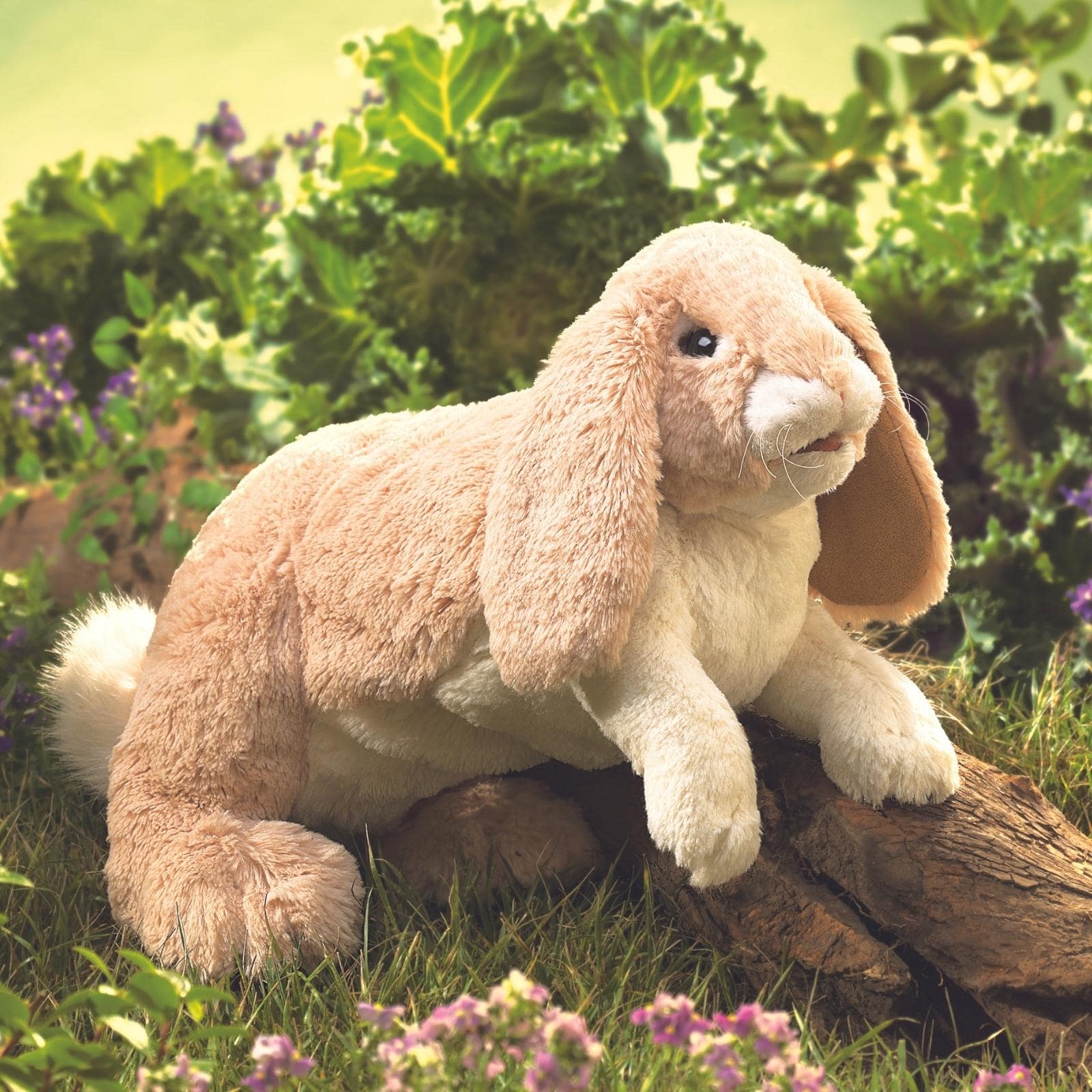 Floppy Bunny Rabbit