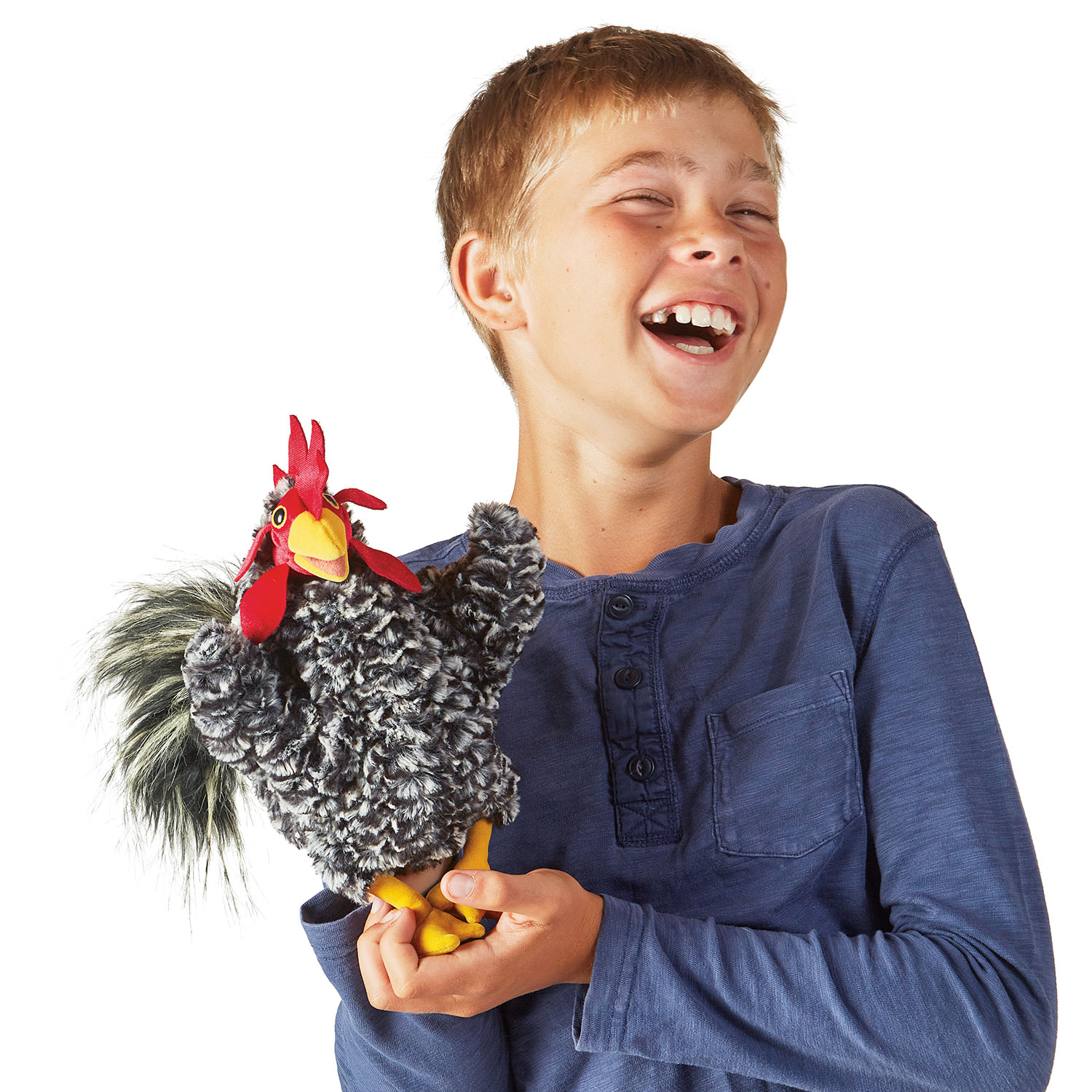 Barred Rock Rooster
