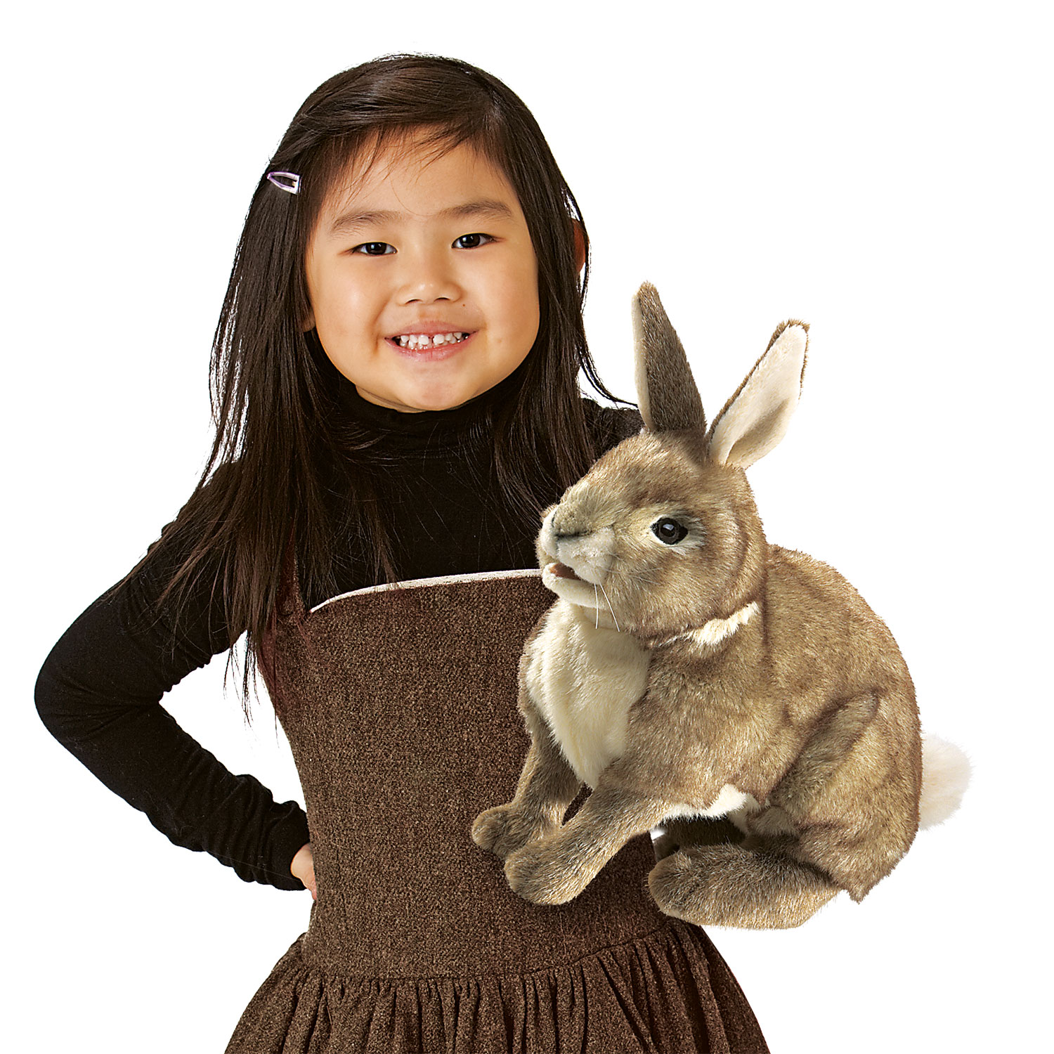 Rabbit, Cottontail
