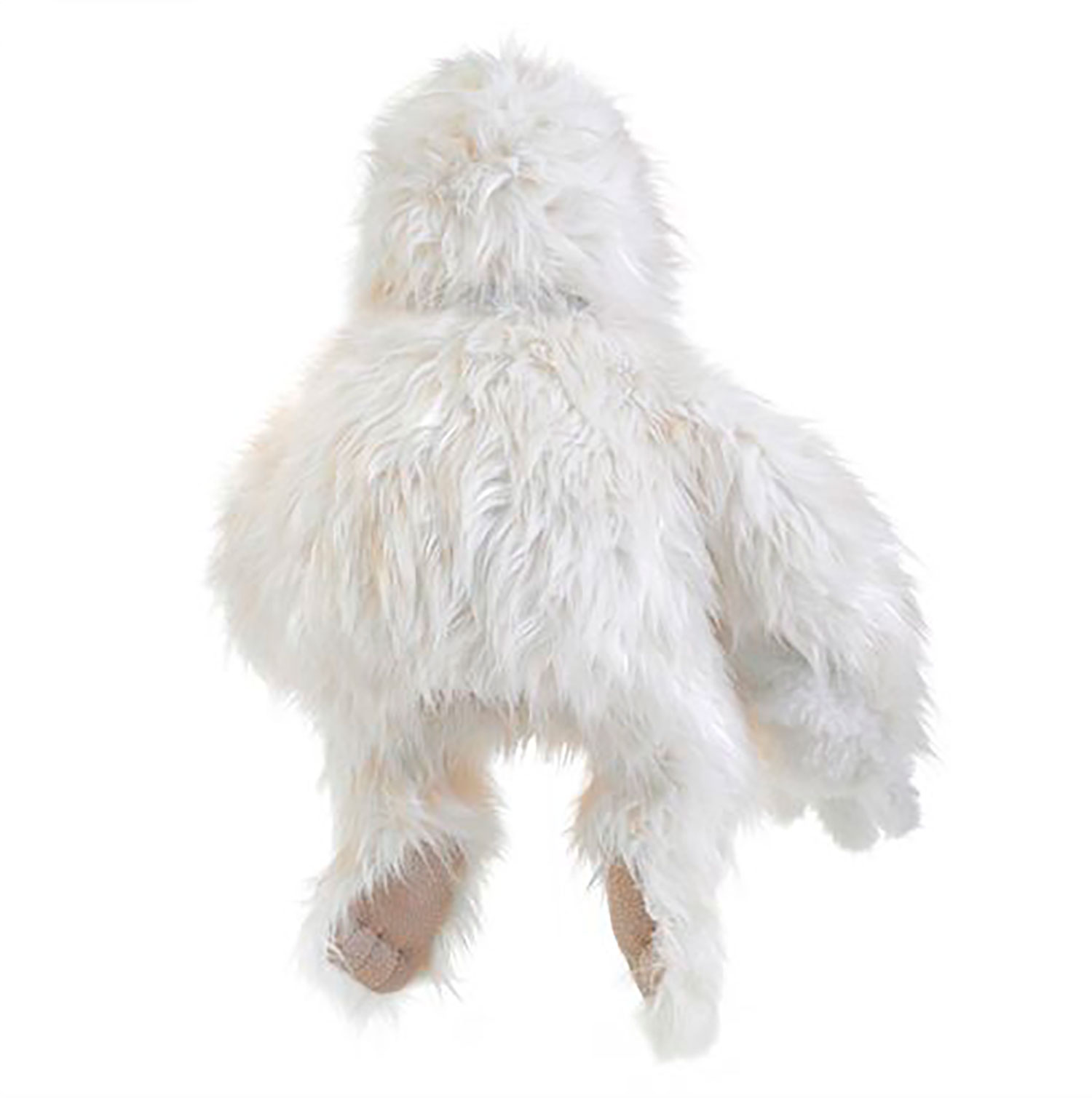 Yeti