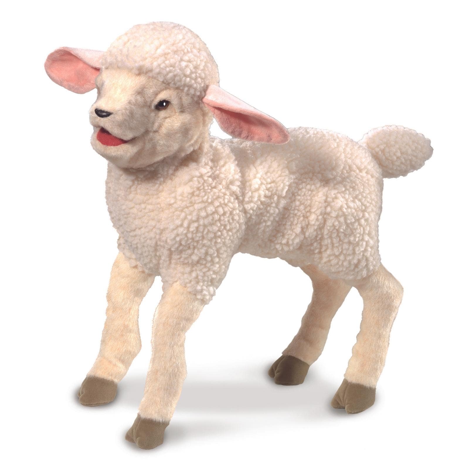 Lambkin