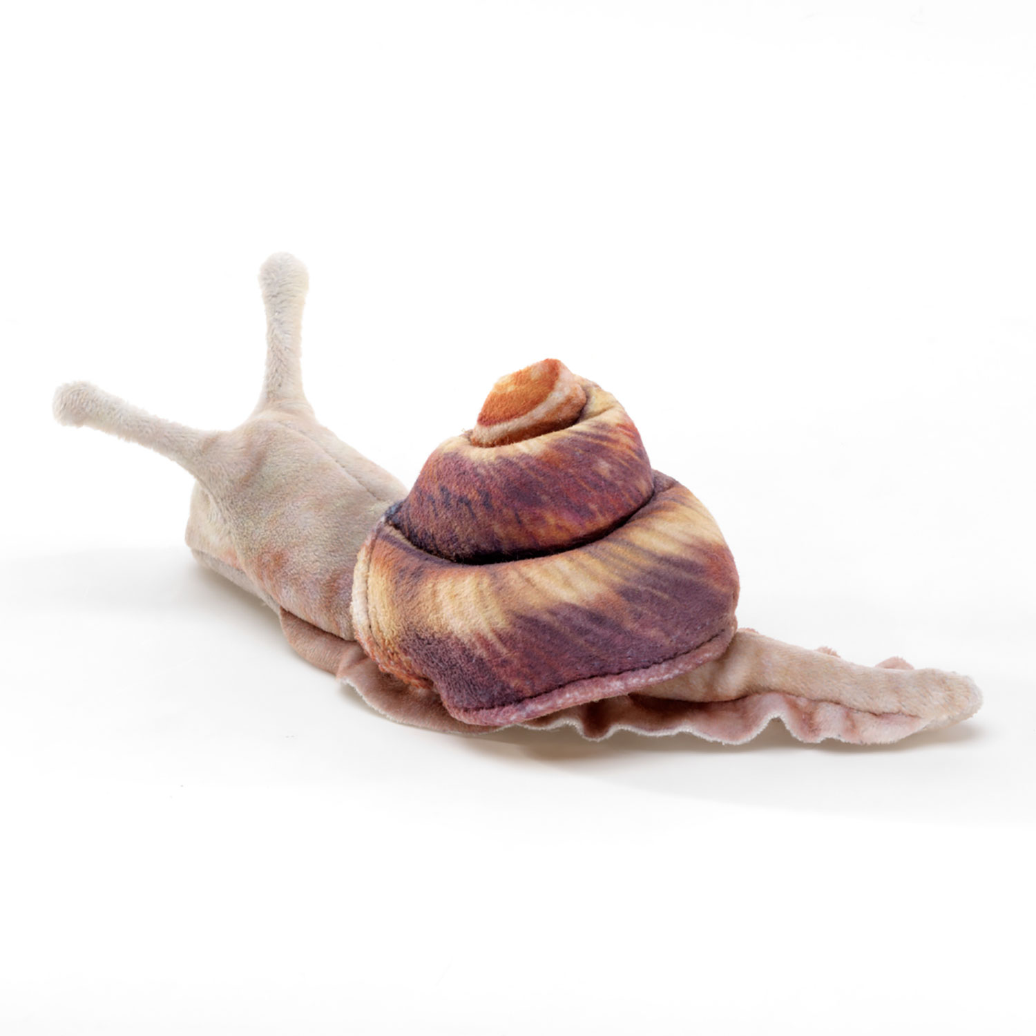 Mini Snail