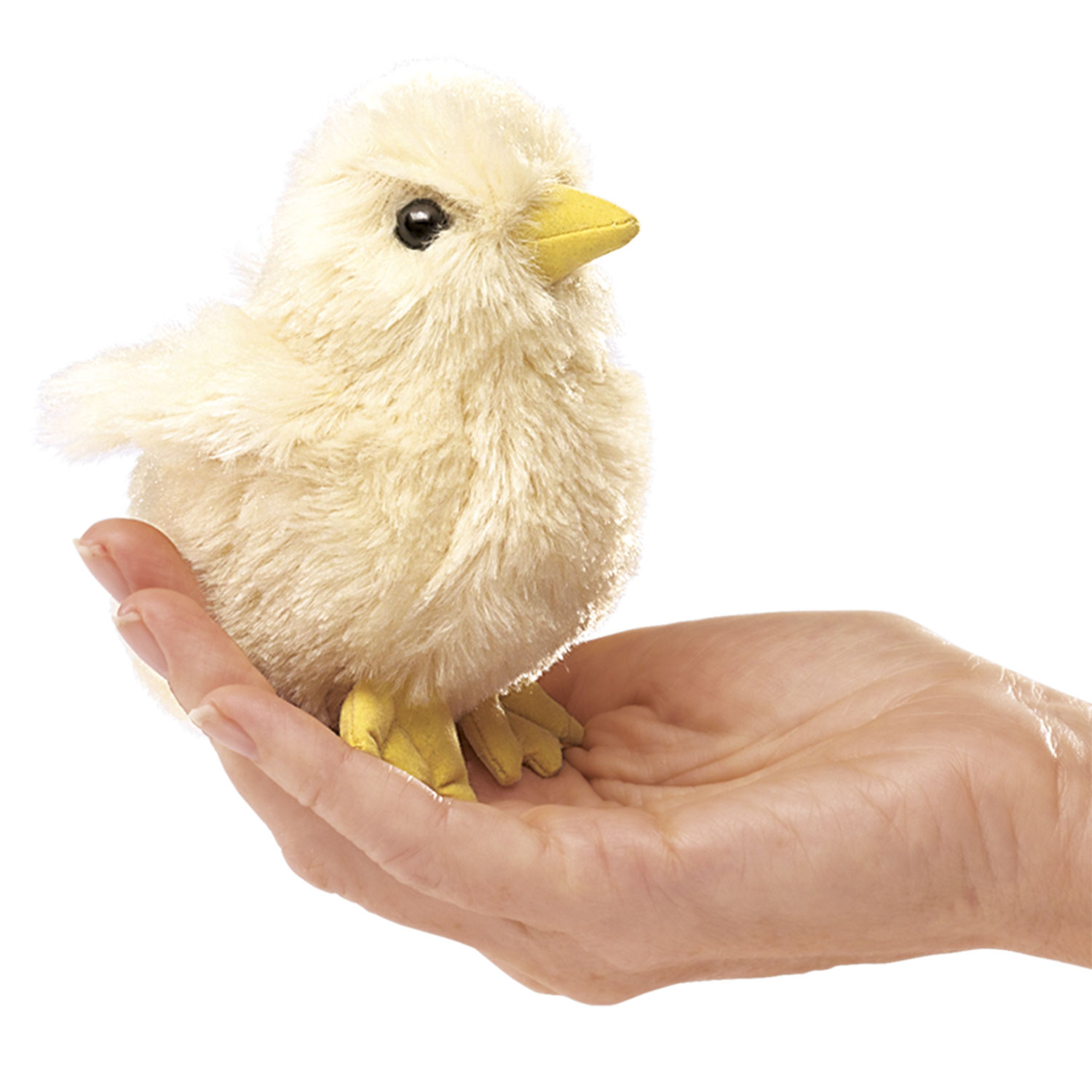 Mini Chick