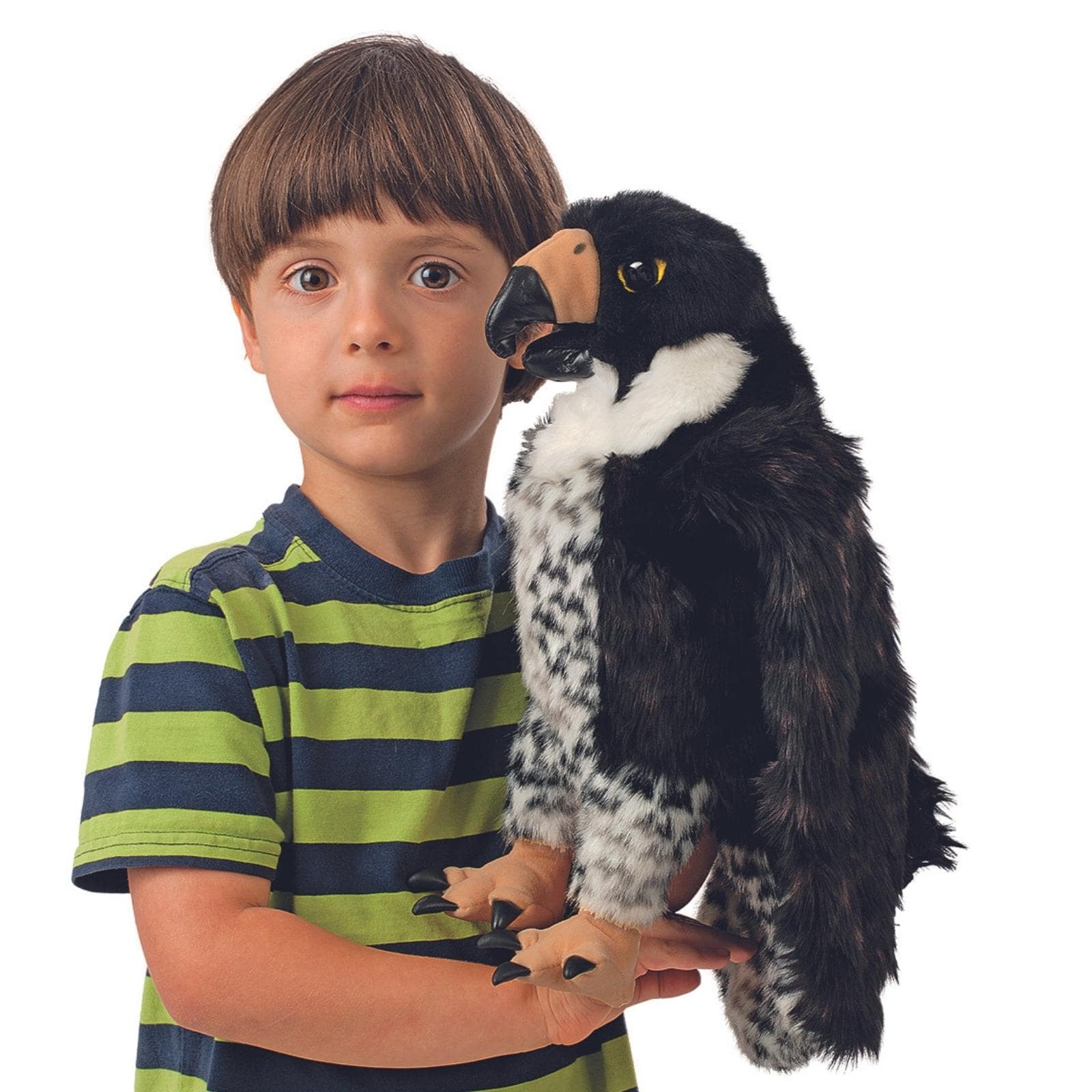 Peregrine Falcon