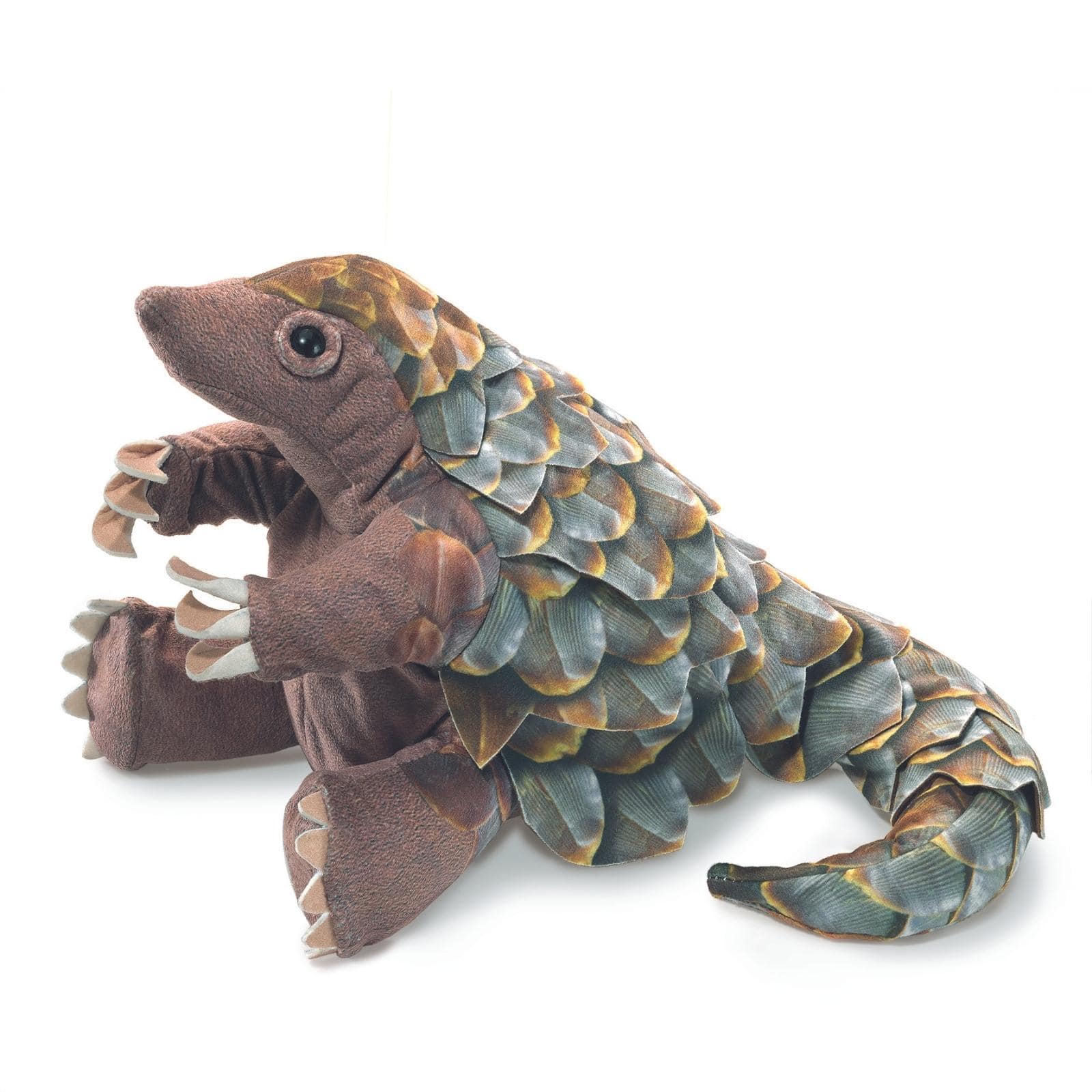 Pangolin