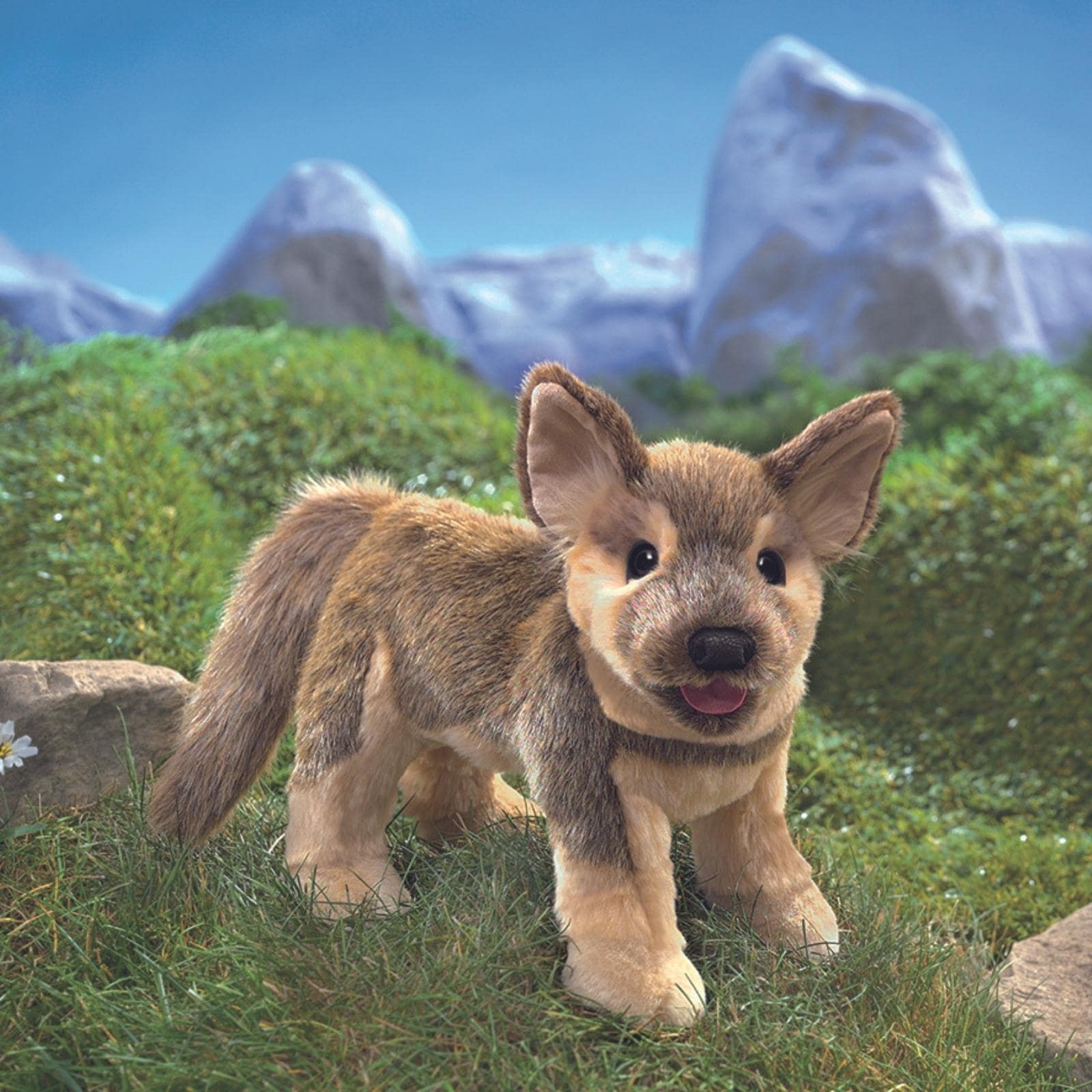 German Shepherd Puppy