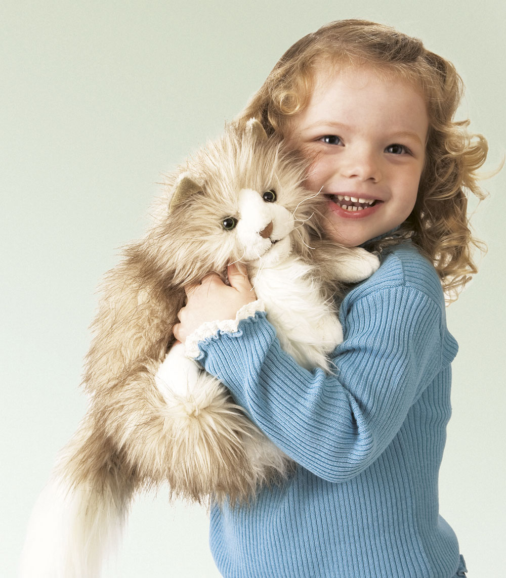 Fluffy Cat