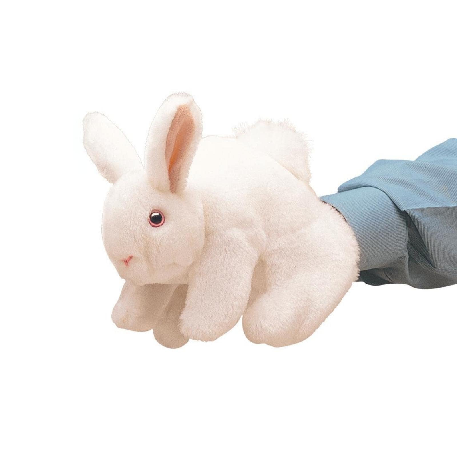 White Bunny Rabbit