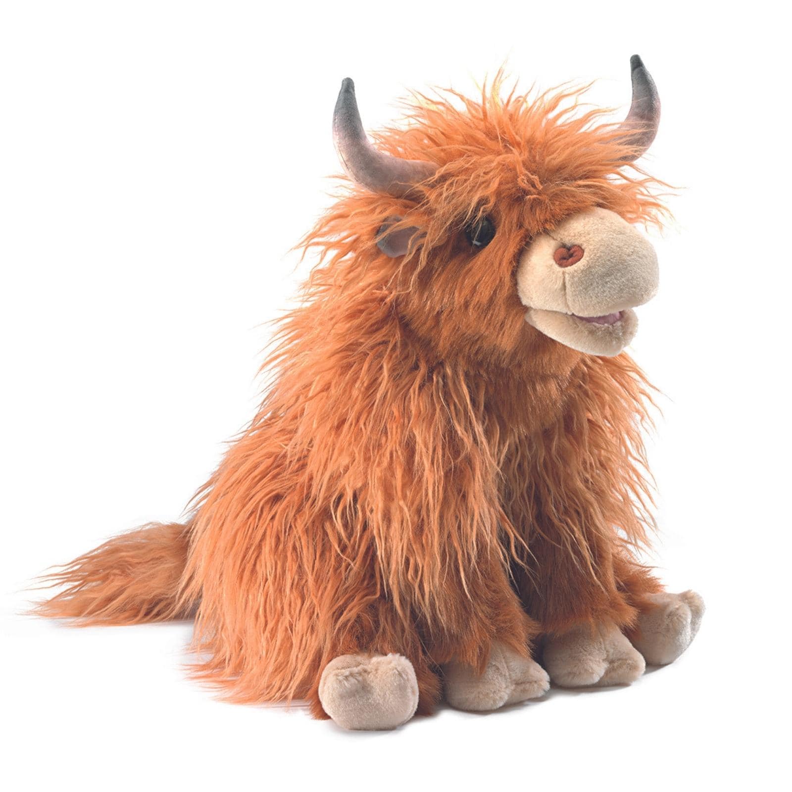 Highland Cow