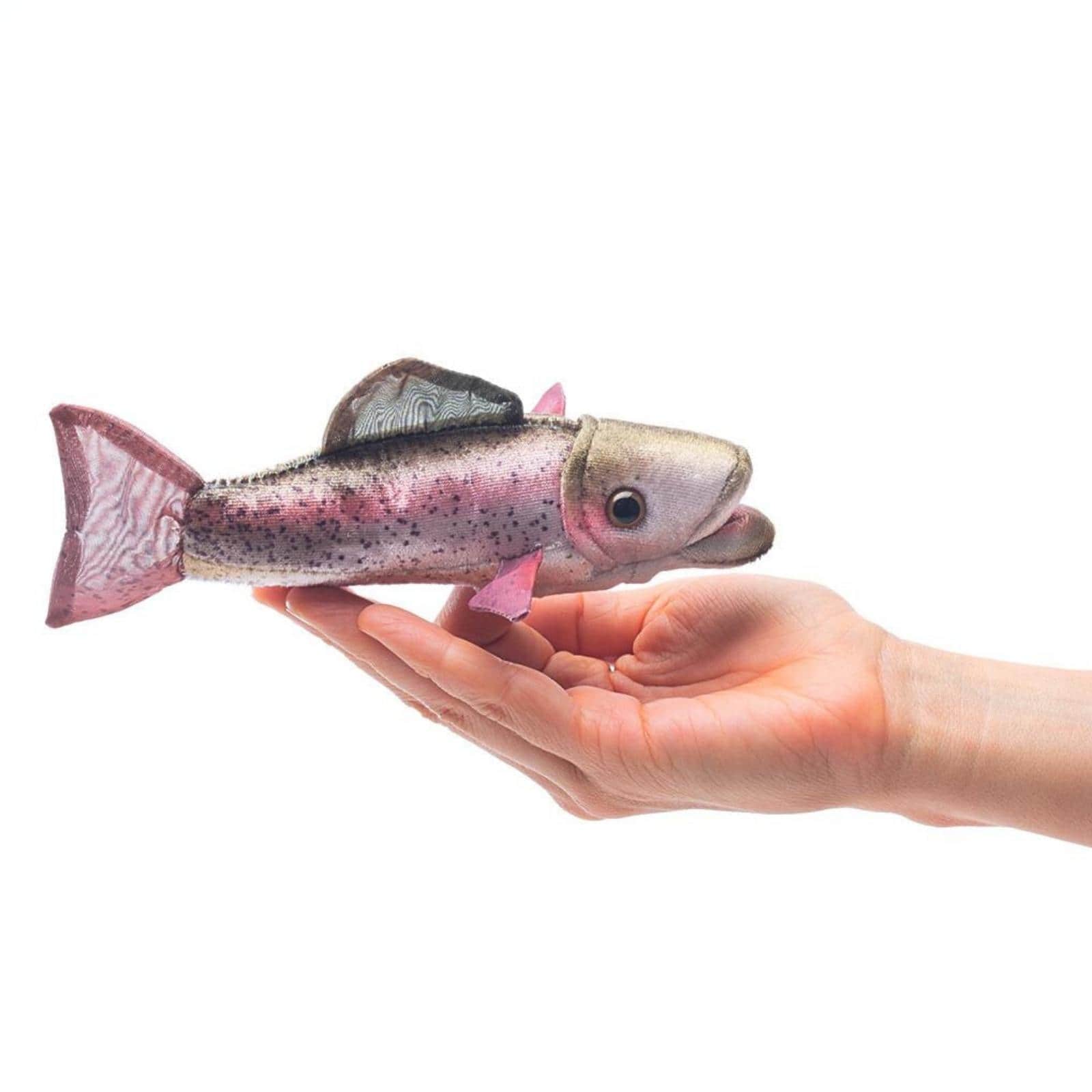 Mini Rainbow Trout