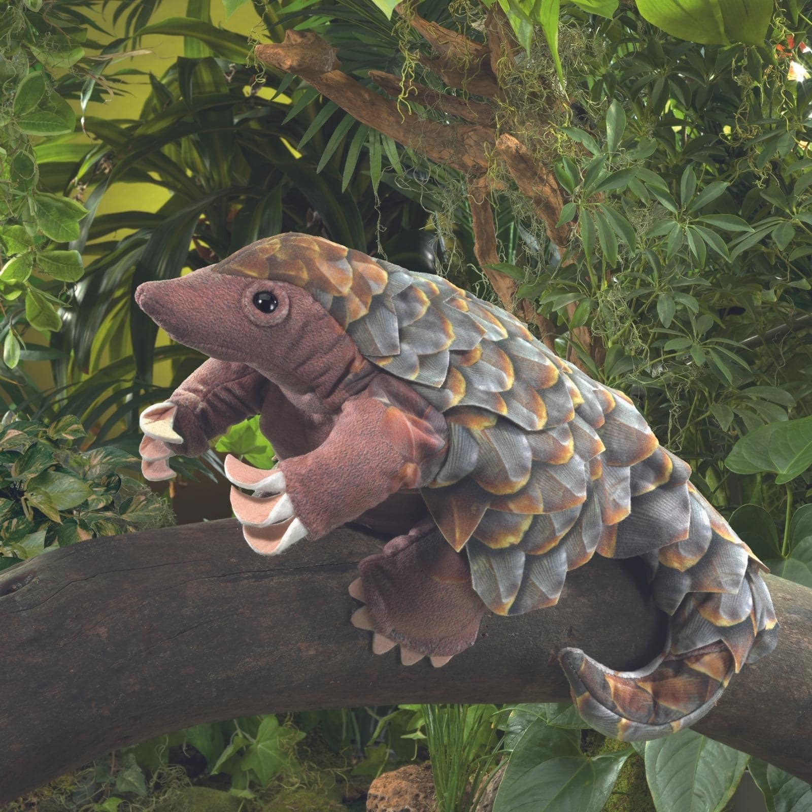 Pangolin