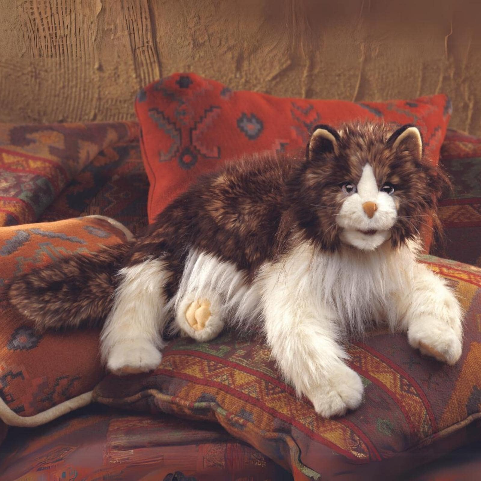 Ragdoll Cat