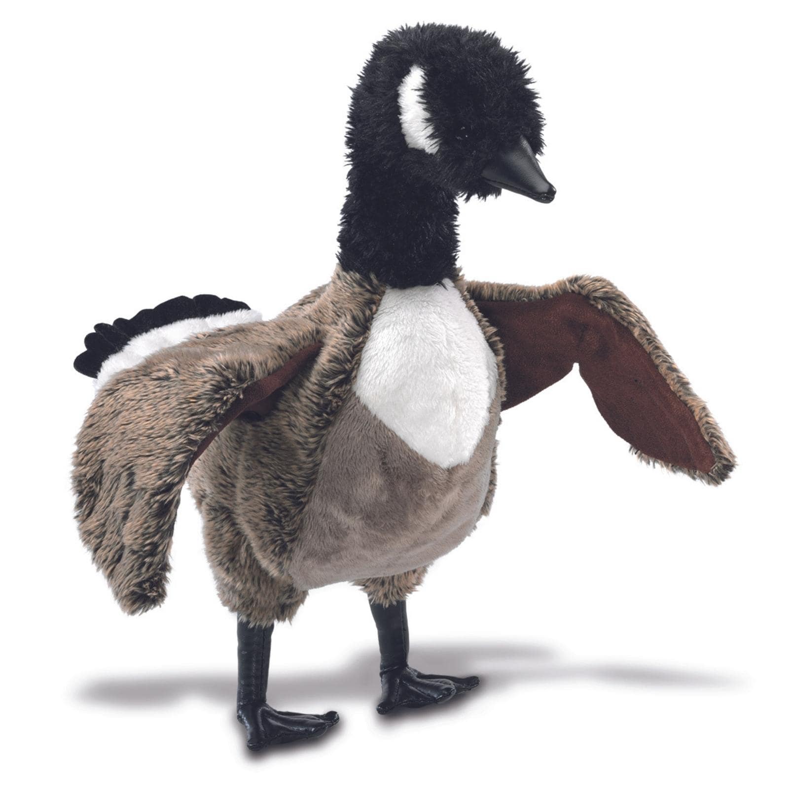 Canada Goose