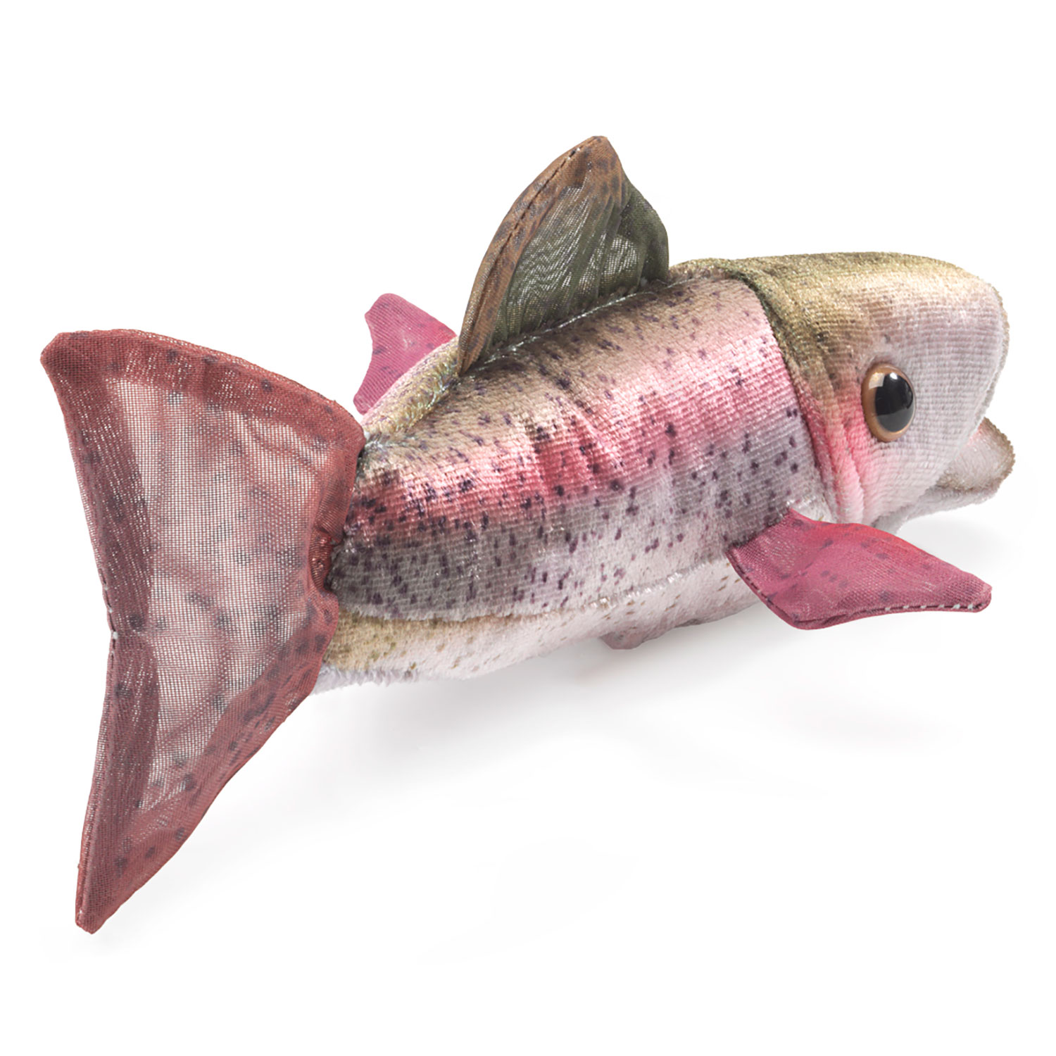 Mini Rainbow Trout