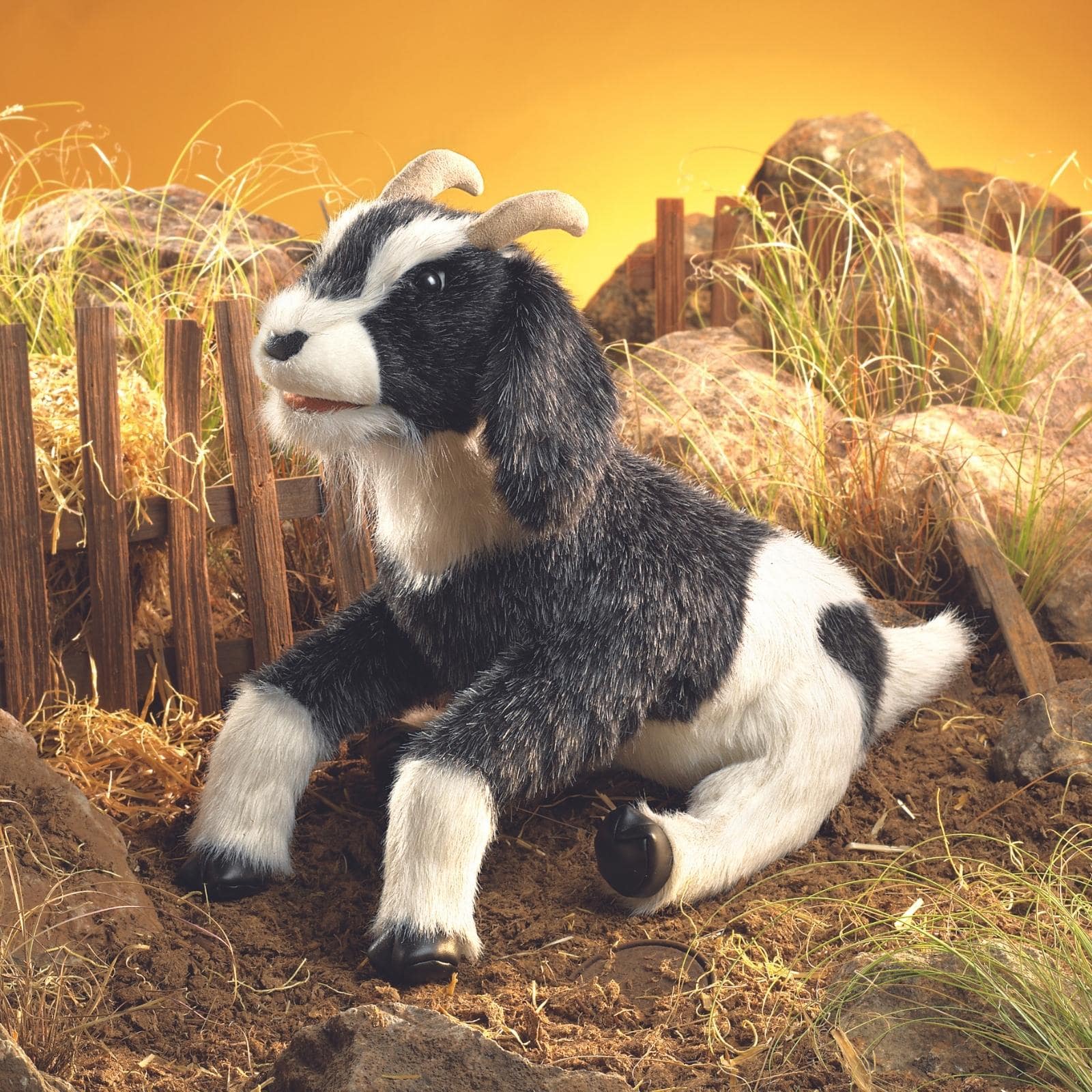 Goat