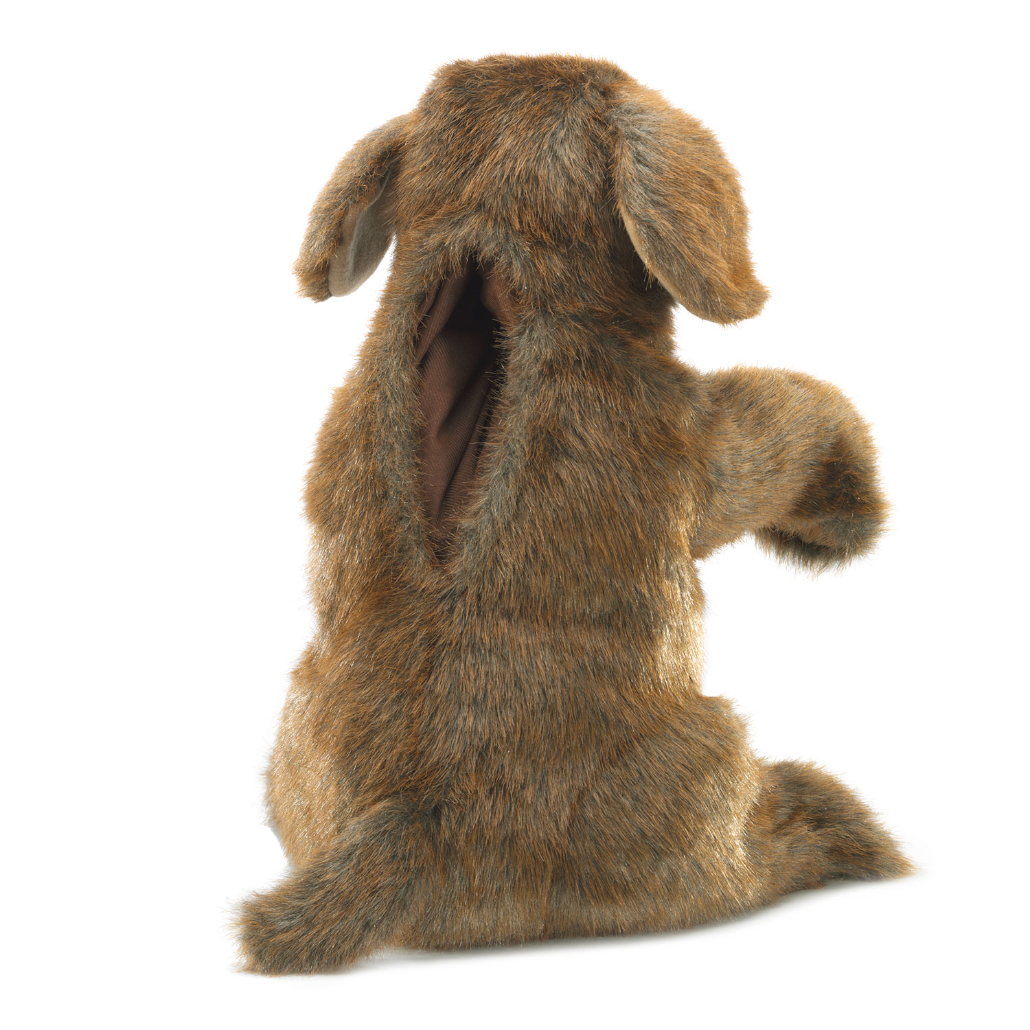 Sitting Dog