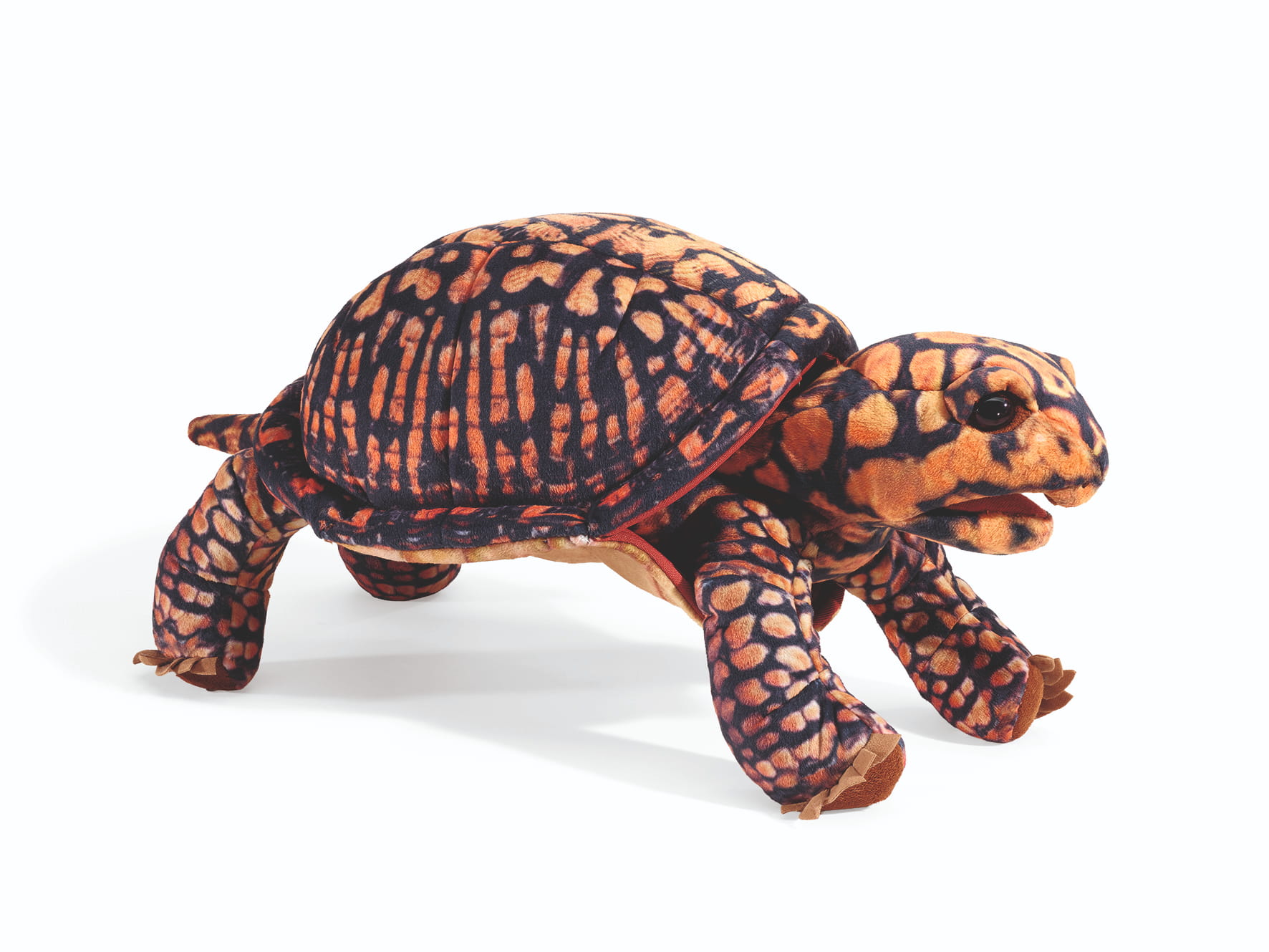 Folkmanis Dosenschildkröte