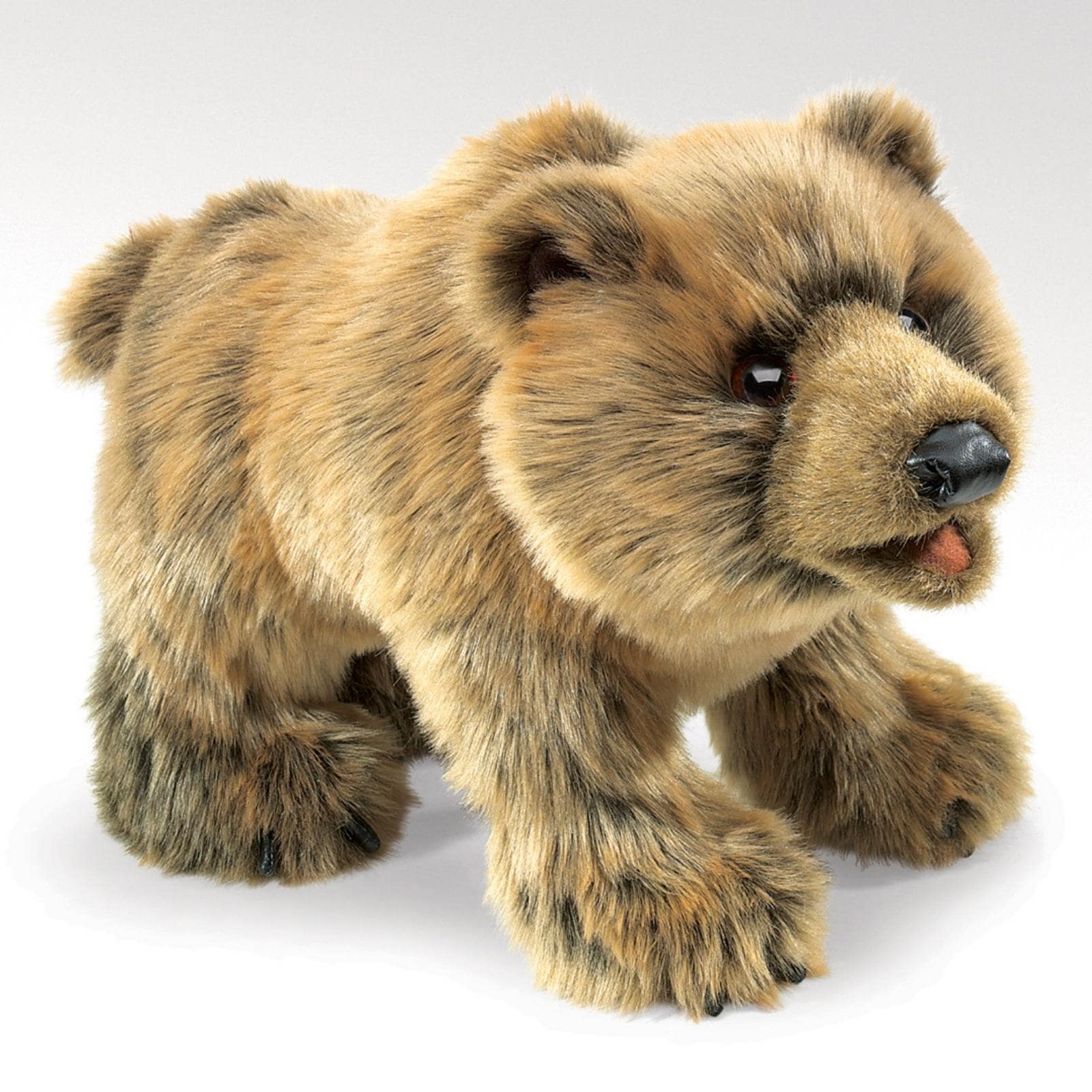 Grizzly Bear