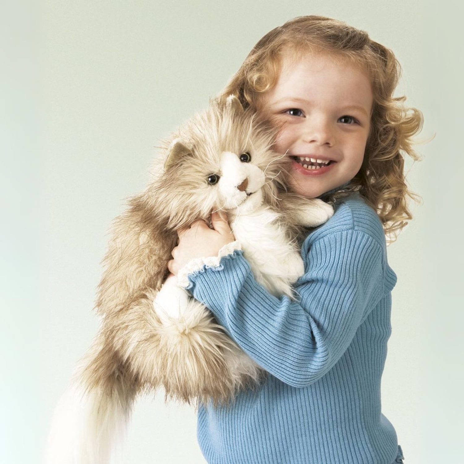 Fluffy Cat