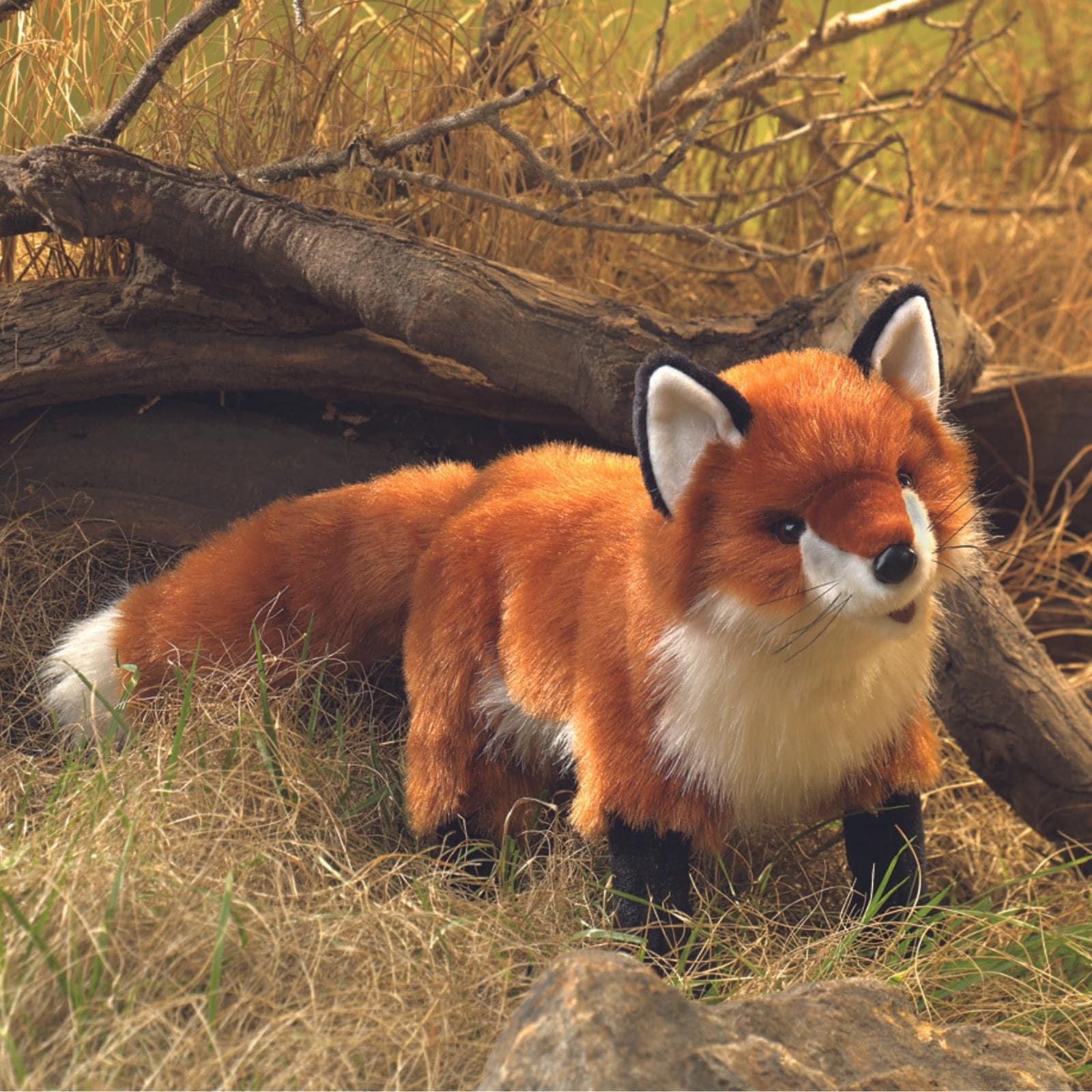 Red Fox