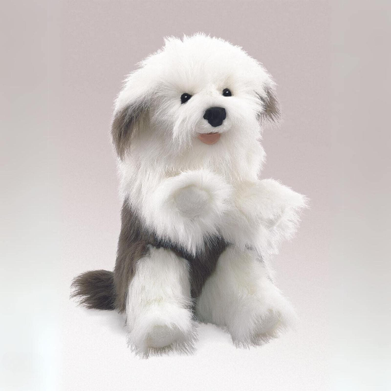Sheepdog