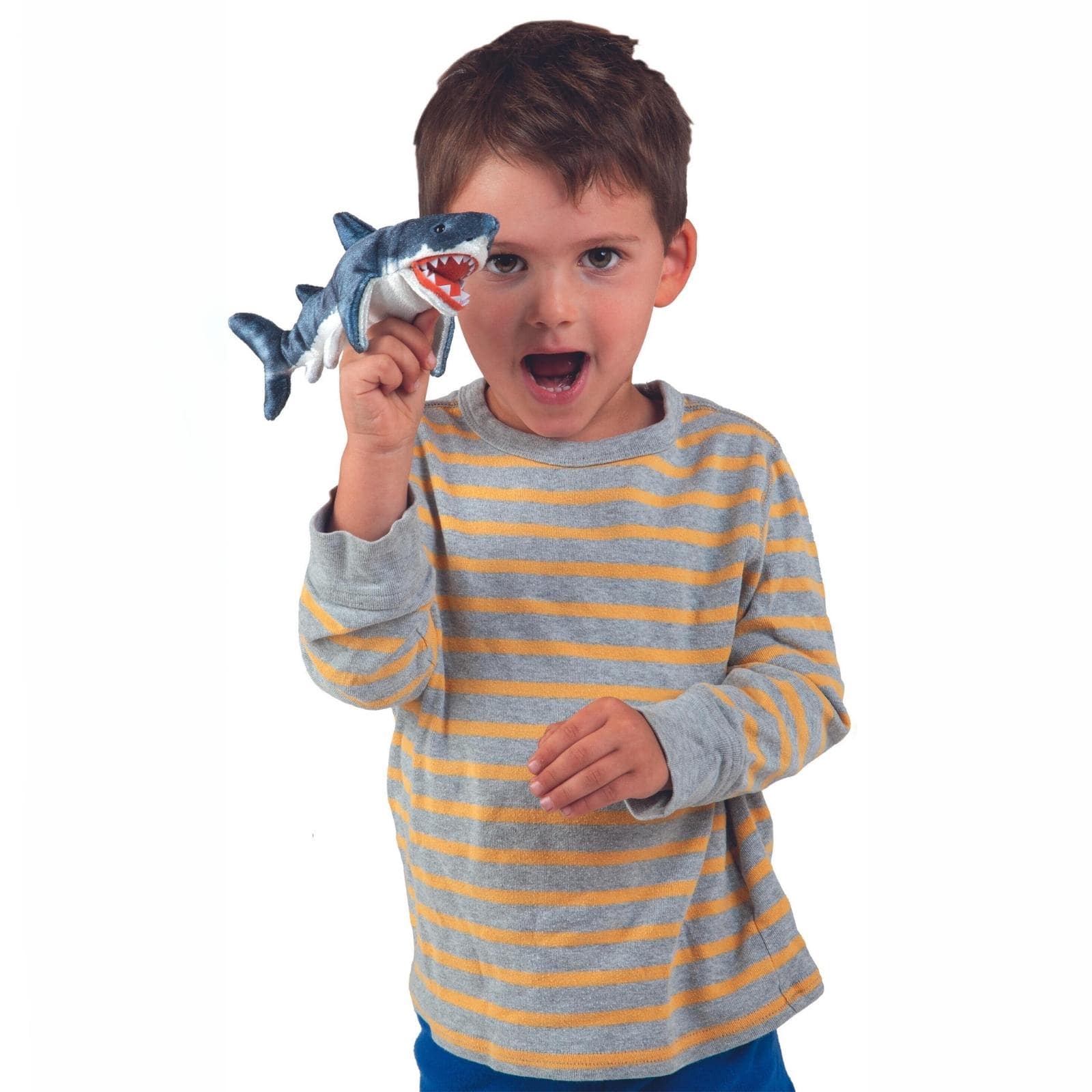 Mini Shark