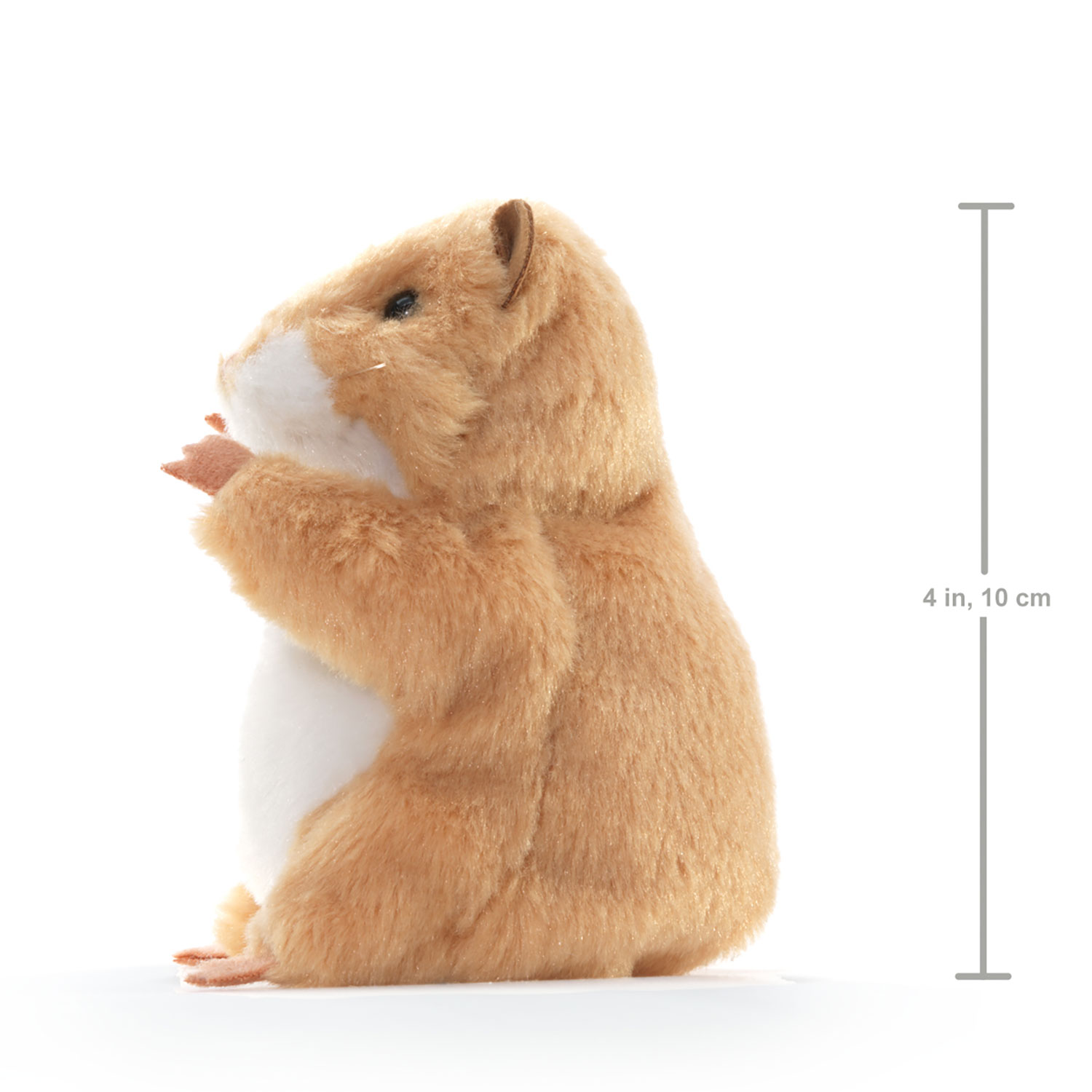 Mini-Hamster