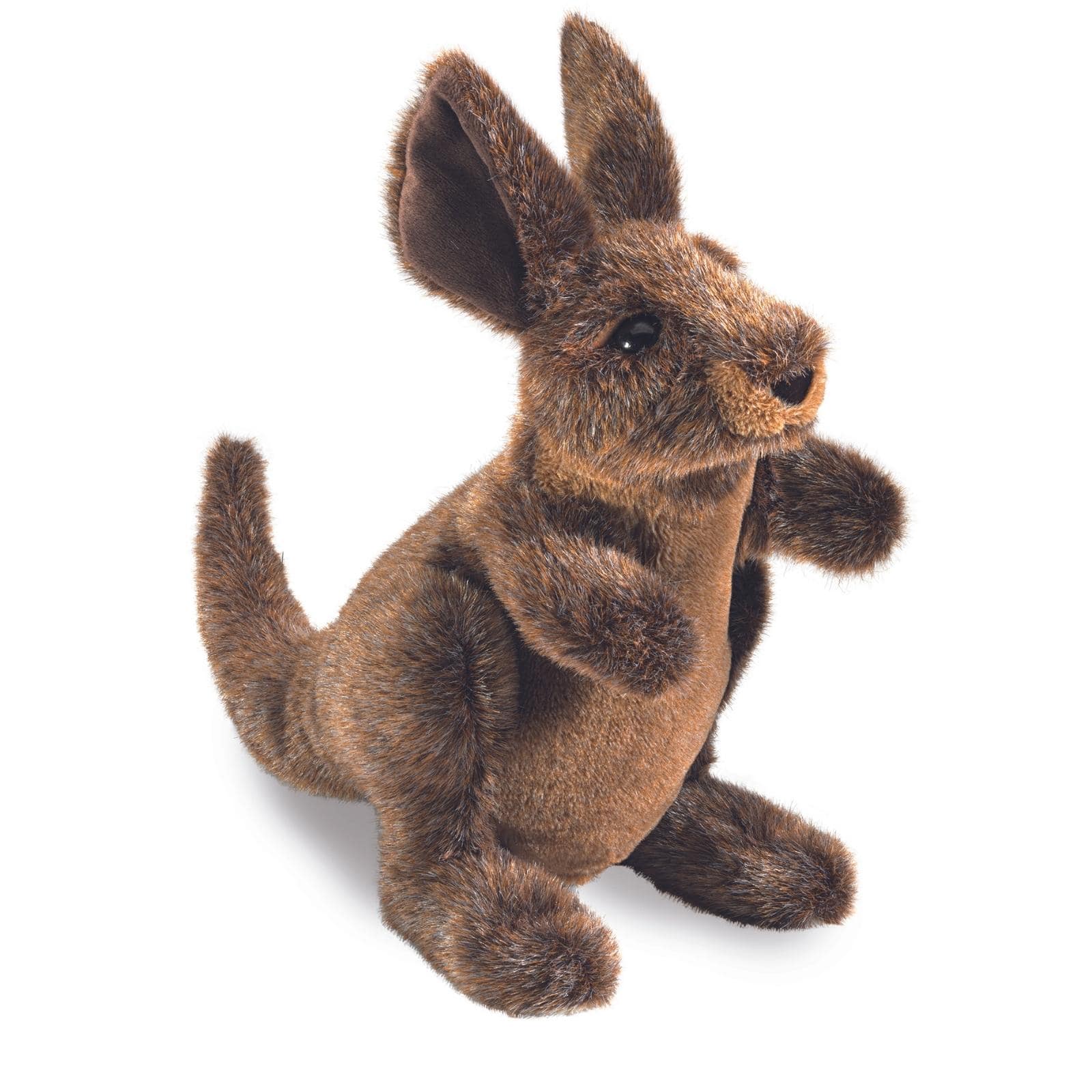 Small Kangaroo