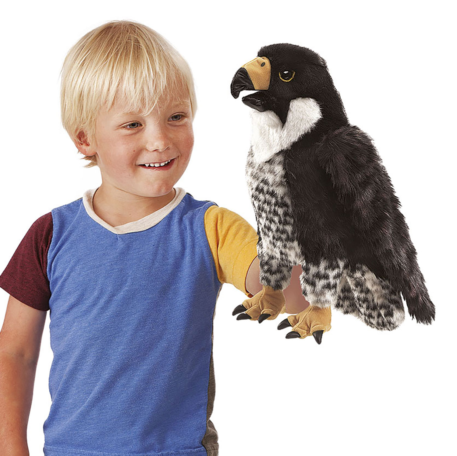 Peregrine Falcon