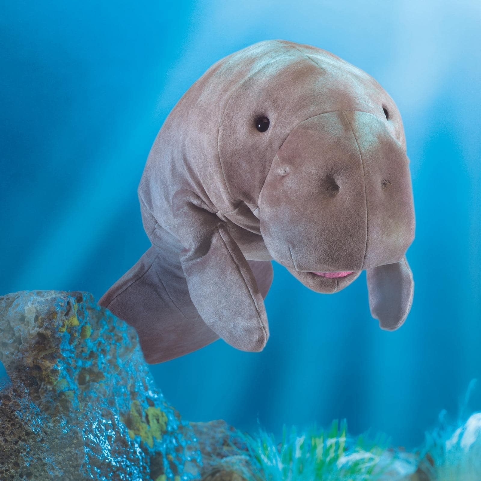 Manatee
