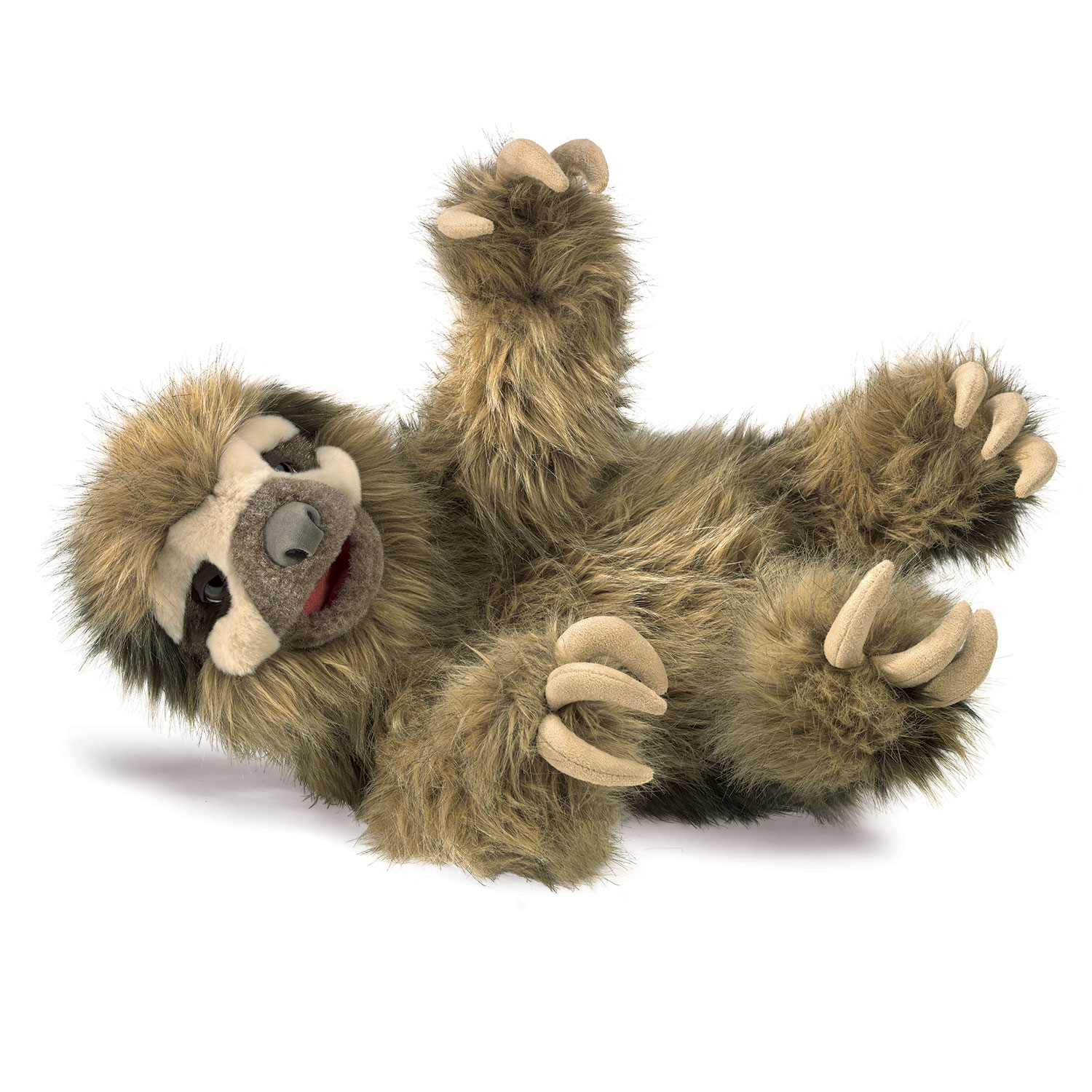 Three-Toed Sloth