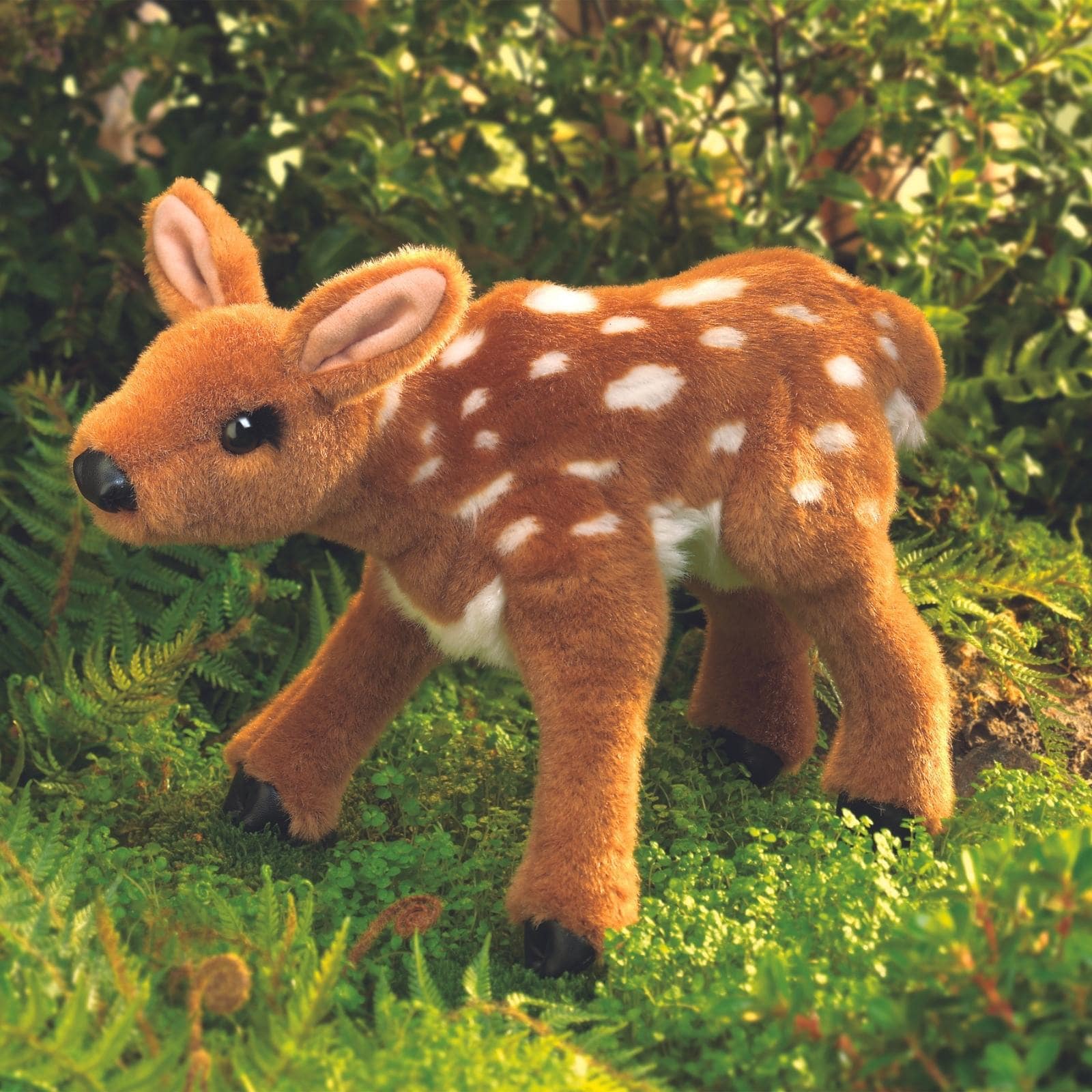 Fawn