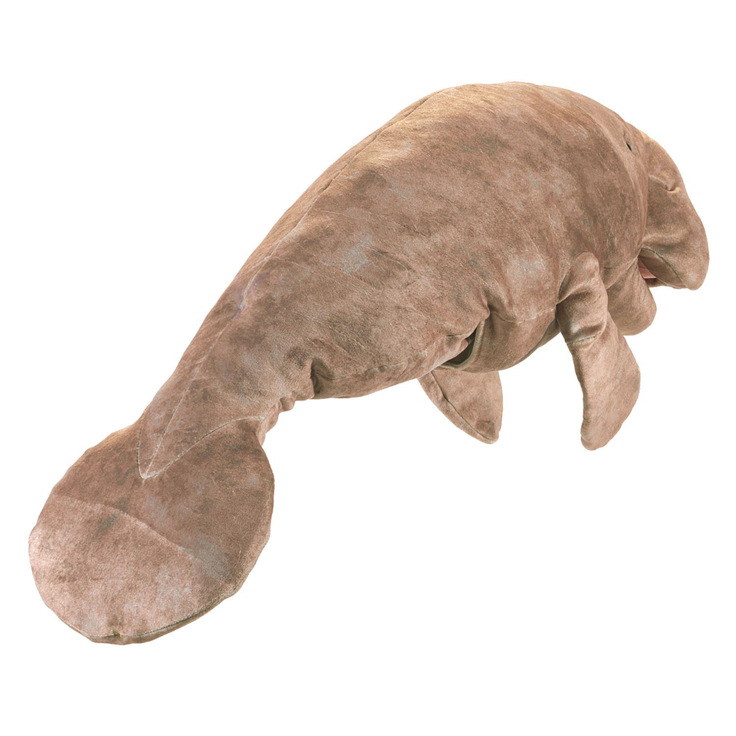 Manatee